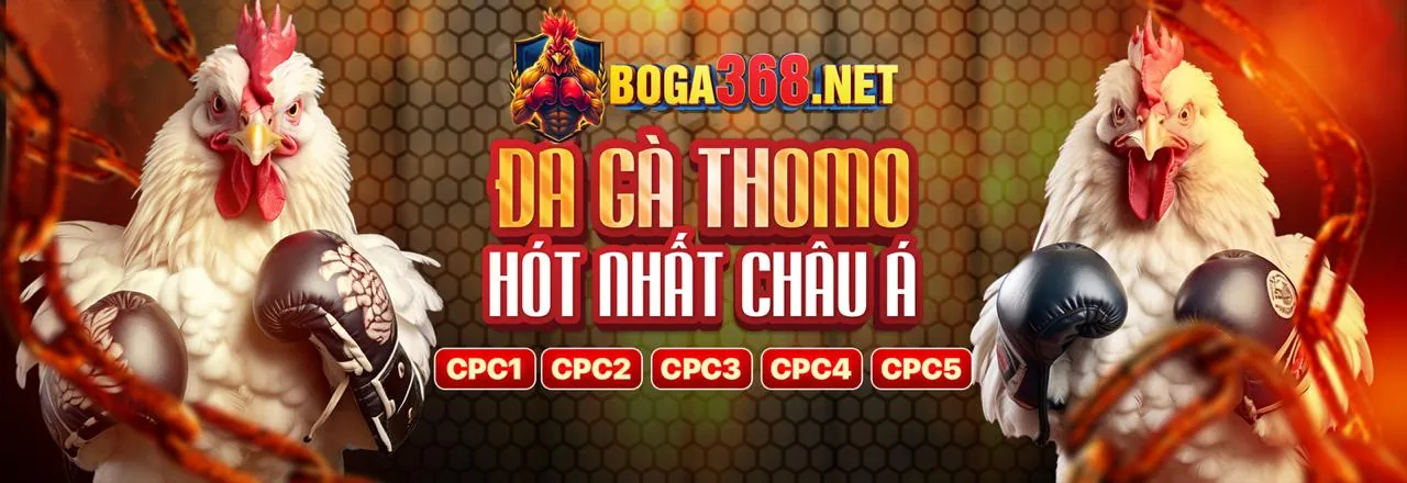 Thomo Nhà Cái Hướng Dẫn Cá Cược